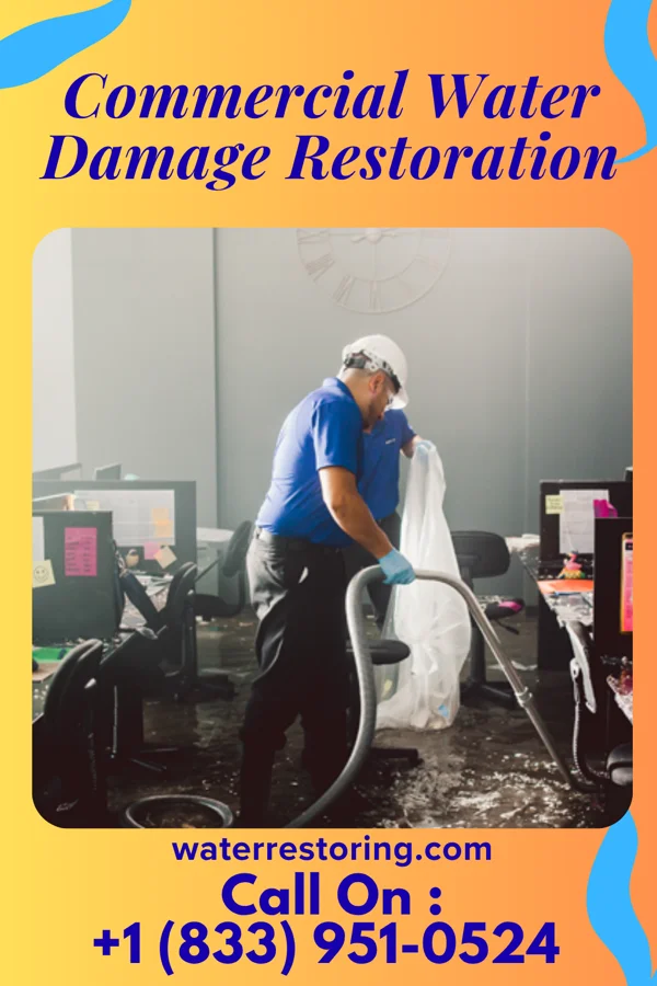 Commercial Water Damage Restoration in Morgan, GA