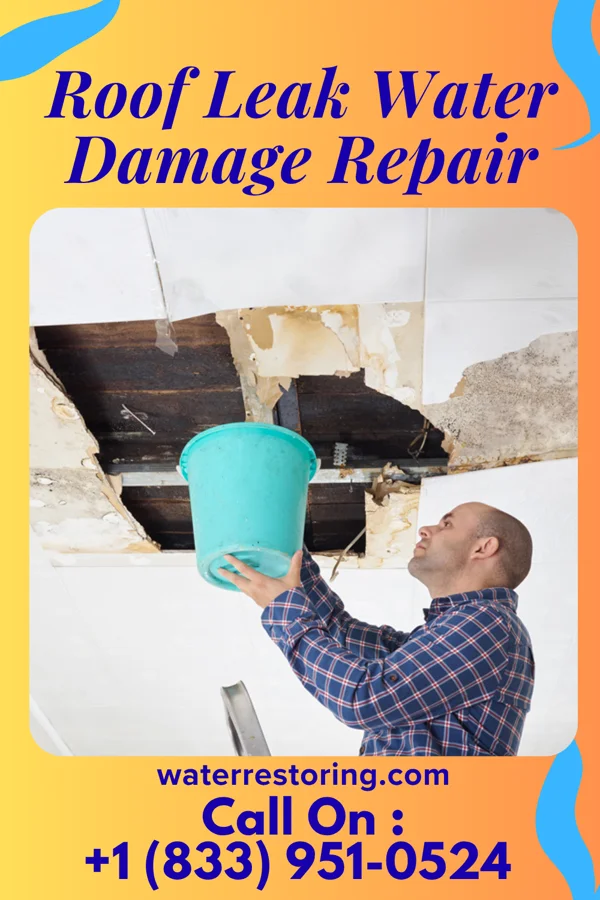 Roof Leak Water Damage Repair in Morgan, GA